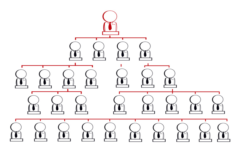 MLM levels MLM levels