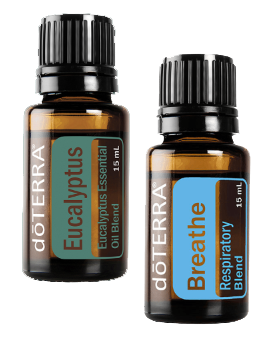 bottles of breathe and eucalyptus essential oils bottles of breathe and eucalyptus essential oils