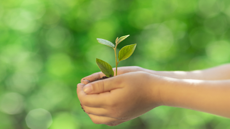 girl tenderly holding a young plant