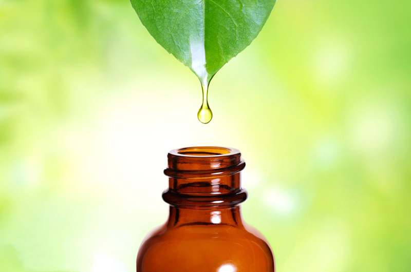 oil dripping from leaf