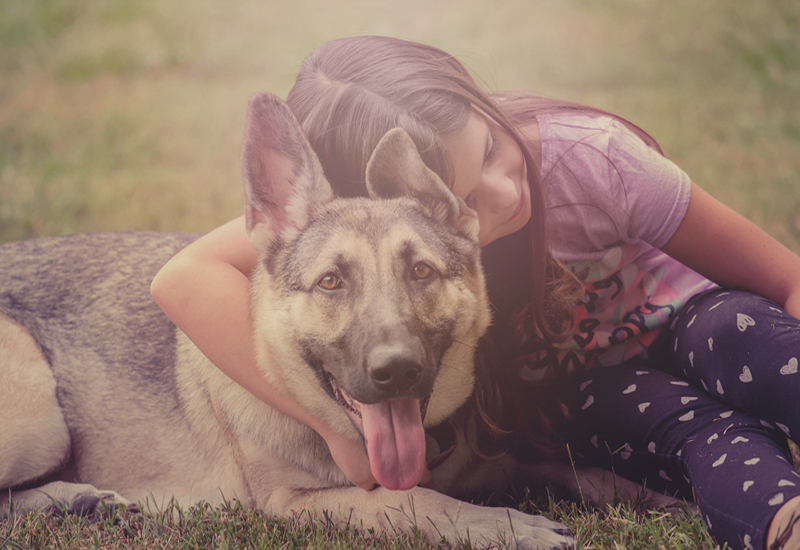 girl hugging beautiful German Shephard girl hugging beautiful German Shephard